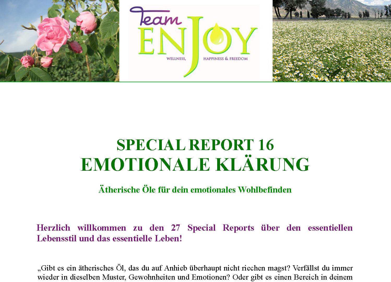 Special Report 16 „Emotionale Klärung“