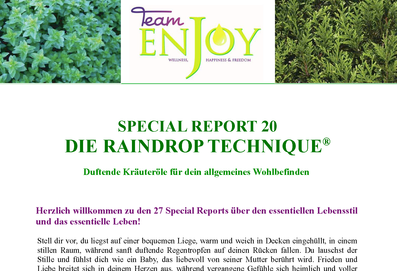 Special Report 20 „Die Raindrop-Technique“